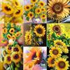 5D DIY Diamond Painting Kit Sunflower Art Diamond Embroidery Rhinestones Decorations for Home