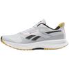 Floatride Energy 6 Moon Grey Heritage Gold Men Sneakers Grey-1 100201164