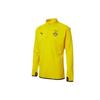 Borussia Dortmund Football Print Stand Collar Long Sleeve Sweatshirt Jacket Men Outerwear Yellow 758582-01