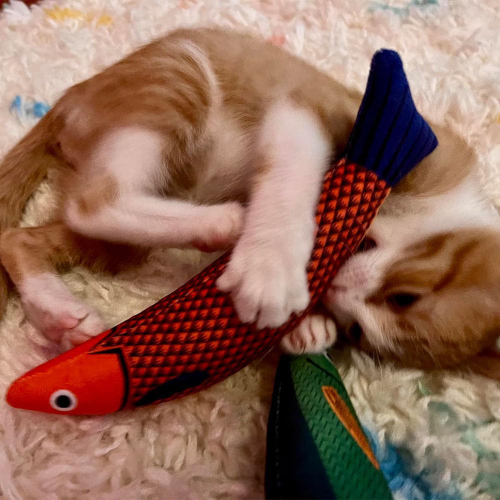 Pet Supplies Toys for Pets Fish Soft Durable Interactive Cat Kicker Toys Fish Shape Catnip Chewing Interactive Movement Toy