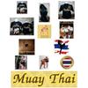 Футболка для тайского бокса с 3D-принтом, винтажная тренировочная, с защитой от ультрафиолета, быстросохнущая, мужская, женская, унисекс, с коротким рукавом, с круглым вырезом, смешанные боевые искусства MMA