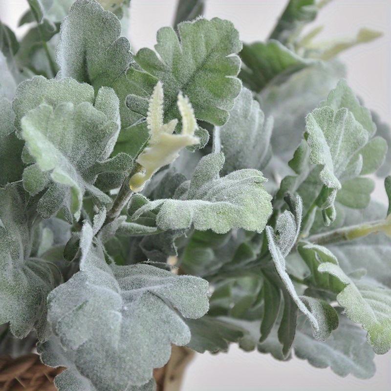 1 шт. Зеленая цинерария, имитация цветка, посадка, опушенные серебристые листья, искусственный цветок, зеленое растение