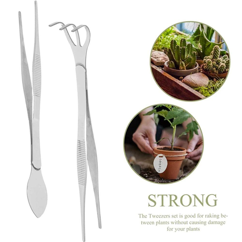 Mini Bonsai Tweezers 2-in-1 Gardening Rake Stainless Steel Root Rake for Succulents Crafting