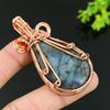 Labradorite Handmade Copper Wire Wrap Jewelry Pendant 2.76 Y7c14