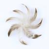 50pcs Natural Duck Feathers 8-13cm for Crafts DIY Jewelry Making Home Decoration Clothing Costume Sewing Accessory Pens Plumes