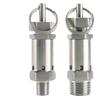1/4" 3/8" 1/2" BSPT Наружная резьба 0.5 1 2 3 -10 Бар Регулируемый 304 Нержавеющая сталь Санитарный Пружинный Предохранительный клапан сброса давления Воздушный компрессор