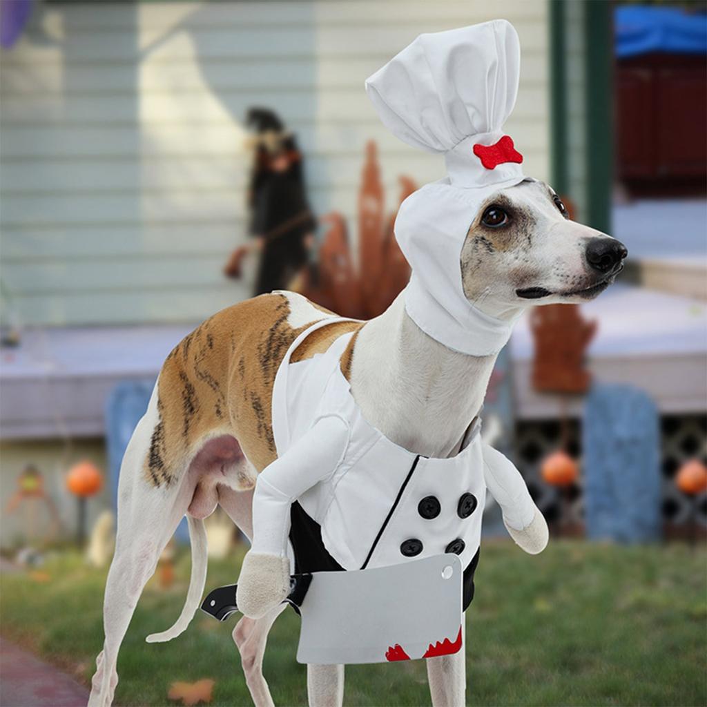 Spooky & Fun Halloween Pet Costume! Transform Your Furry Friend Into A Hilarious 'Knife-Wielding Chef' With This Realistic Fake Knife Accessory.