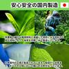 Matcha 100g Concentrated Green, 100% Domestic, Unsweetened, Additive-Free Powder For Cooking, Tea Ceremony, & Lattes