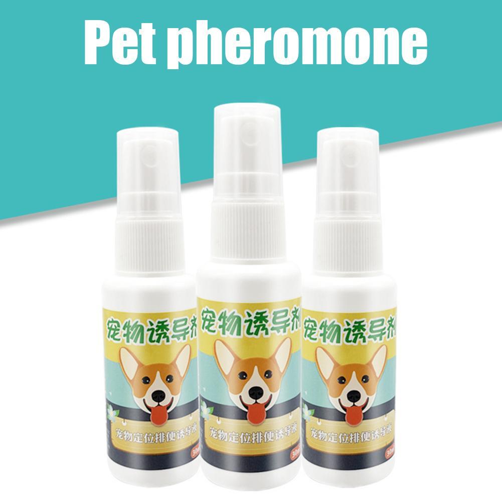 30ml Pet Dog Spray Toilet Training Inducer Dog Props Puppy For Puppy Pee Toilet Pad Supplies Pe U8D6