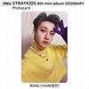 Stray Kids 6th Mini Album Oddinary Official ID Card Photocard KPOP K-POP