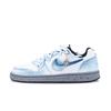 Nike EBERNON Blue Island Iridescent Lightweight Slip Resistant Low top Skateboard Shoes Men's Blue White CK0034-100(Team836-)