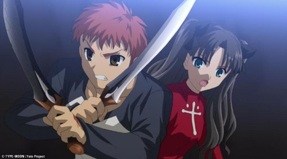 Полная коллекция Night TV Fate/Stay [DVD]