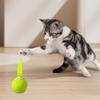 Игрушка для кошек со звуковой функцией, кошачий прыгучий мяч для упражнений, интерактивный мяч-игрушка с перьями для кошек, снятие стресса, веселое занятие, для использования в помещении и на улице