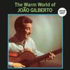 LP Record JOÃO GILBERTO - The Warm World Of João Gilberto SOW050 Sowing Records 2024 Europe Jazz