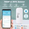 Интеллектуальный датчик температуры и влажности Tuya WiFi, удаленный монитор через приложение SmartLife, умный дом, работа с Alexa, Google Assistant