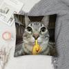 Смешная наволочка с мемом про кота, короткий плюш, полиэстер, чехол для подушки, декоративная наволочка для диванной подушки, декор для дома