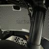 For Husqvarna Norden901 2022~2025 2026 790 ADV 890 Adventure R Norden 901 Motorcycle Radiator Guard Grille Water Tank Protection