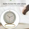 Analog Alarm Clock with LED Light Non-Ticking Battery Operated Bedroom Desktop Digital Quartz Clock Children Students Gift