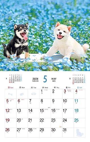 Пушистый щенок (Календарь Impress 2024)