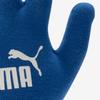 Puma Galleria Puma Sports Cold Weather Knitted Gloves Cat Magic Glove 3 04180008