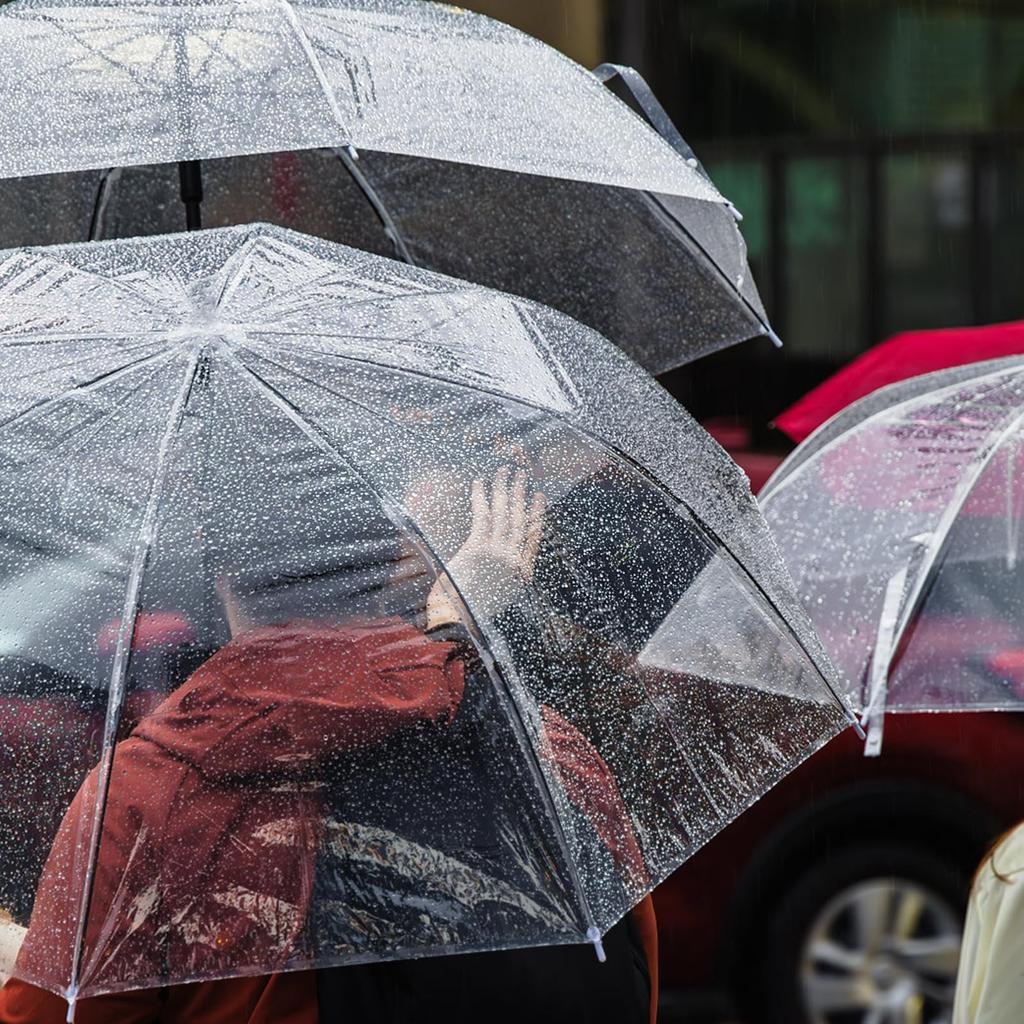 Transparent Folding Lightweight Folding 8 Manual Folding Umbrella, Tri-fold Umbrella, Umbrella, Compact, Umbrella, Ribs, Stylish, Rain, Daily, Work,