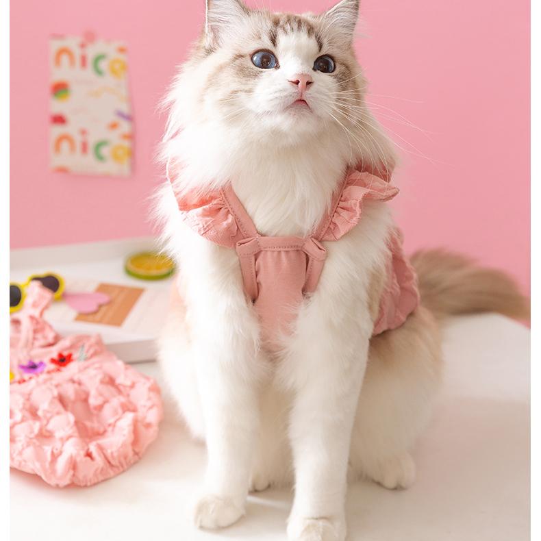 Тюльпан, пузырь, тыква, питомец, весна и лето, тонкие подтяжки, юбка, щенок, котенок, одежда длиной в две ноги.