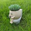 Cartoon Succulent Flowerpot Resin Plant Cultivation Pot Plant Growing Container  Succulent Planting