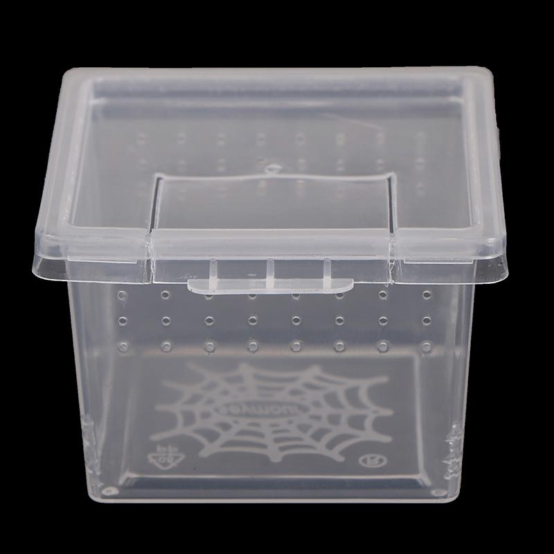 Plastic Insect Spider Habitat Feeding Box Case Container Tank Transport Case Toy