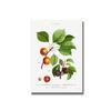 Nordic Kitchen Decor Canvas Painting Fruit Vegetables Pictures On The Wall Orange Art Posters for Home Design No Frame