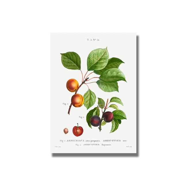 Nordic Kitchen Decor Canvas Painting Fruit Vegetables Pictures On The Wall Orange Art Posters for Home Design No Frame