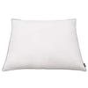 Pillows 2 pcs Down Feather Filling Lightweight 80 x 80 cm White
