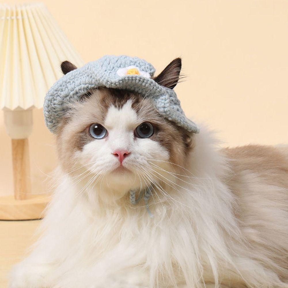 Winter 2023 Warm Elastic Crochet Cat Hat Frog Hat Pet Cap for Party Photo Props