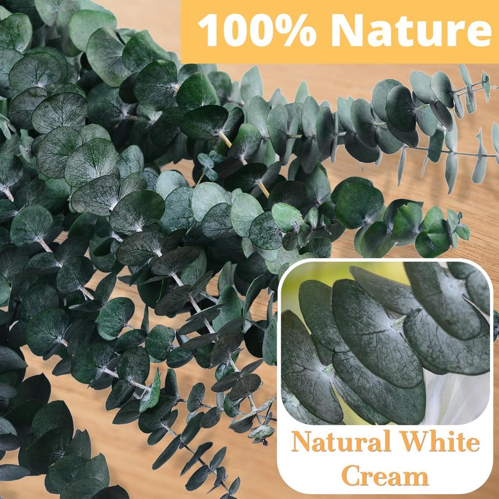 12 шт сушеный эвкалипт для подвешивания душа - консервированные стебли эвкалипта зеленый домашний декор, декор для душа в ванной, свадьба, сделай сам