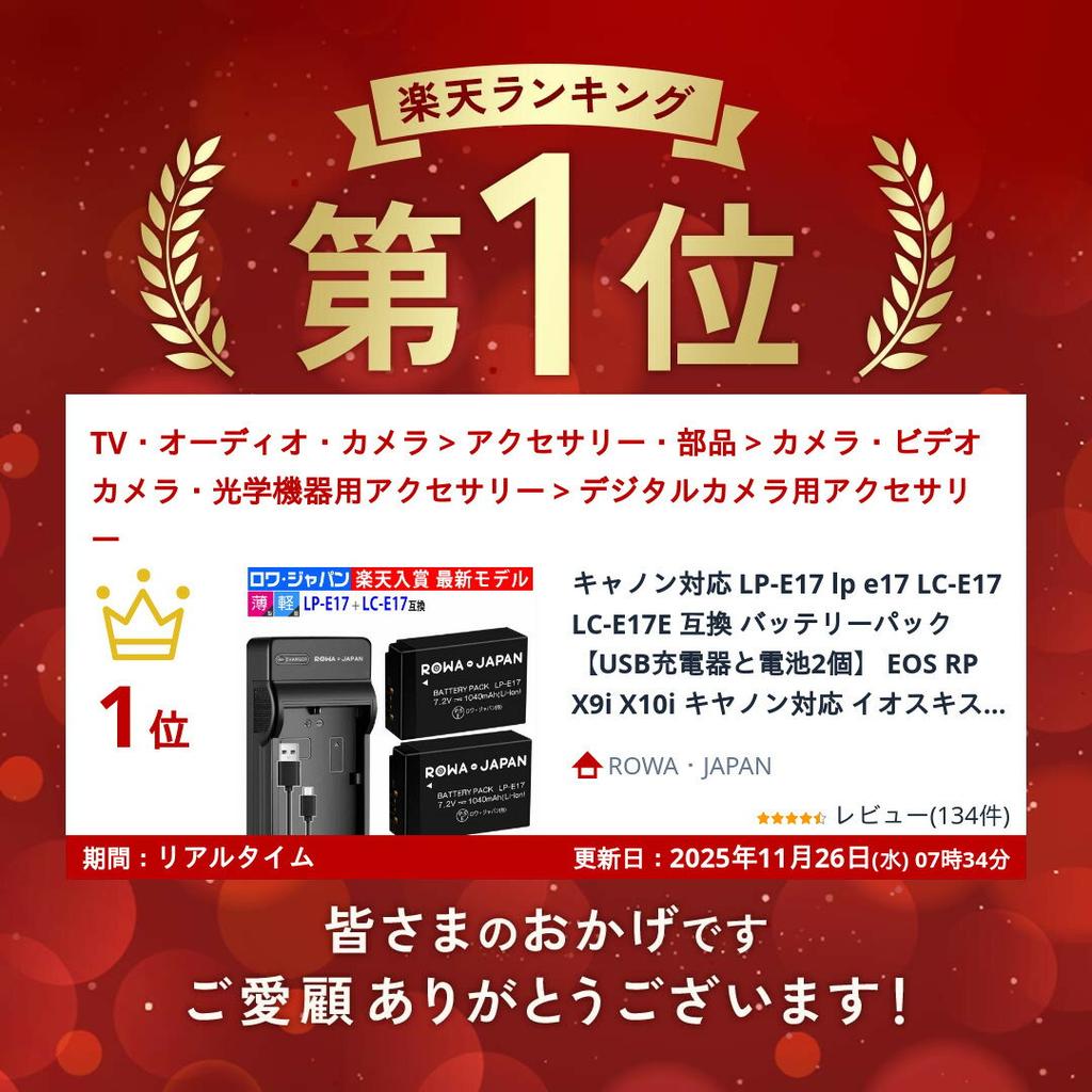 Canon compatible LP-E17 lp e17 LC-E17 LC-E17E battery pack USB charger 2 batteries EOS RP X9i X10i Kiss lithium-ion digital single-lens reflex camera