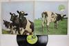 Виниловая пластинка PINK FLOYD  Atom Heart Mother SHVL781 HARVEST 1970 Великобритания Рок Б/у