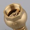 Anti Backflow Bottom Valve Female Thread Check Valve Brass Brass Foot Valve  Direct Supply