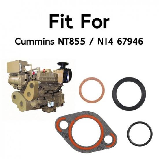 Oil Pan Gasket Transfer Tube Oring Kit for Cumm NT855 N14 67946 157551 302984