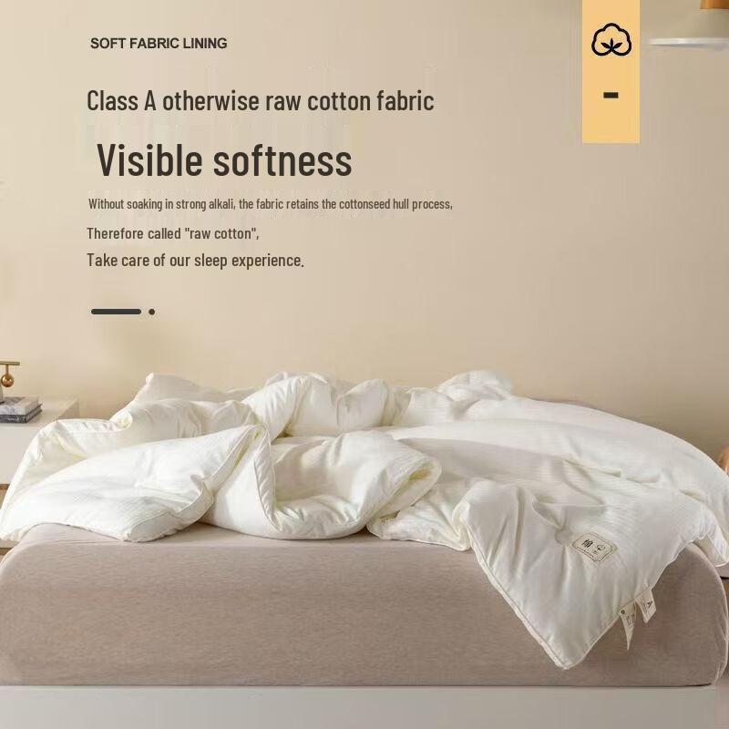 Bo Yiduo Cotton & Soybean Fiber All-Season Quilt