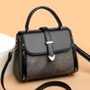 New High-end Versatile Handbag Niche Light Luxury Texture Shoulder Bag Women's Casual Simple Messenger Small Square Bag