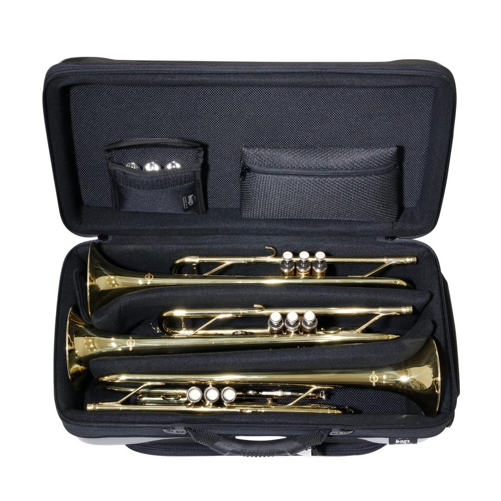 Bags Piston Trumpet Fiber Case, Holds 2 Trumpets, Metallic Gray, EC2TRM M-GREY