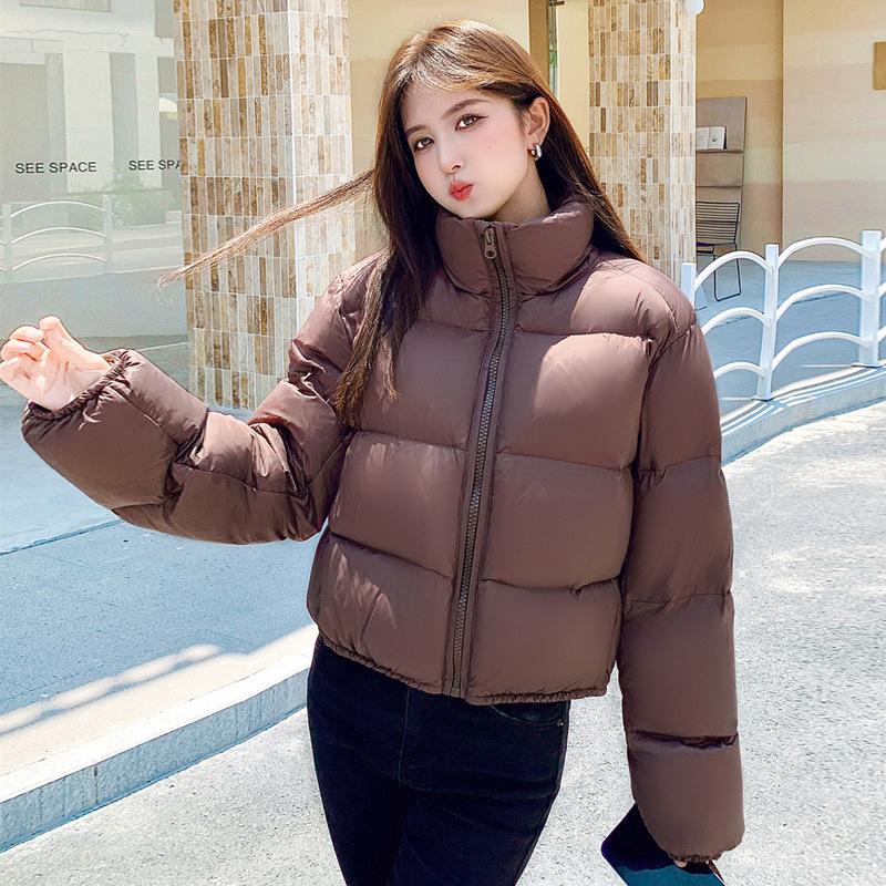 Winter Warm New Parkas Women Y2K Fashion Streetwear Loose Thick Crop Down Cotton Jacket Chic Female Brown Coats Outwears