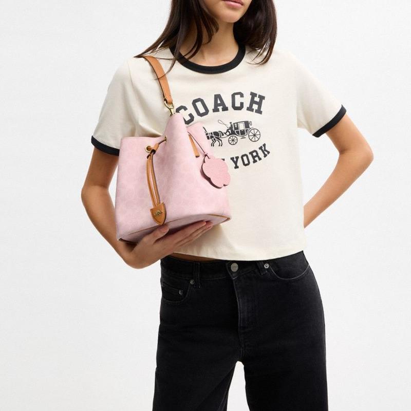 Coach Сумка Валентинов День Ограниченная Серия Роуэн 21 Классическая Пресбиопия Съемный Плечевой Ремень Ведро Удачи Искусственная Кожа Crossbody Плечо Маленькая