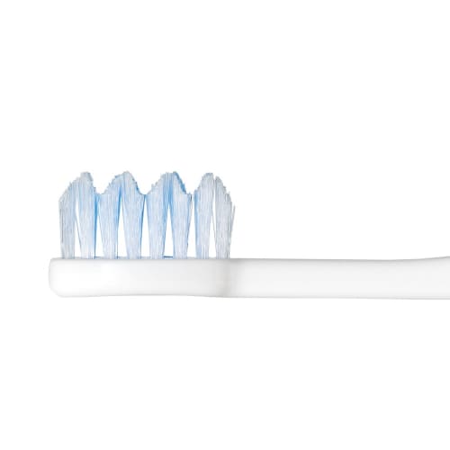 Ebisu Rig Mountain Toothbrush, Regular, 12-Pack