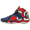 LeBron 12 Se 'What The LeBron' 812511-909