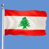 Большой флаг Ливана 3x5 футов креативный ливанский флаг полиэстер ливанские флаги стран мира для помещений и улицы подвесной флаг