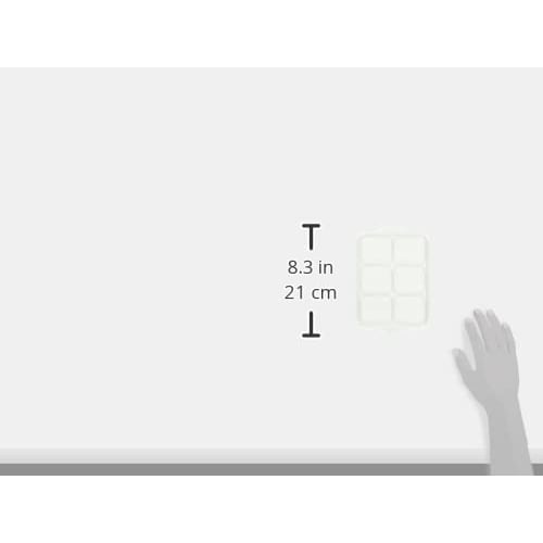 Skater Pre-prepared Frozen Storage Containers 6 Blocks 50mlx6 Made In Japan TRMR6N-A