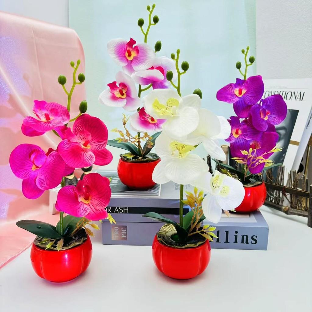 Artificial Decor Phalaenopsis With Highquality Materials For Gift And Use Event