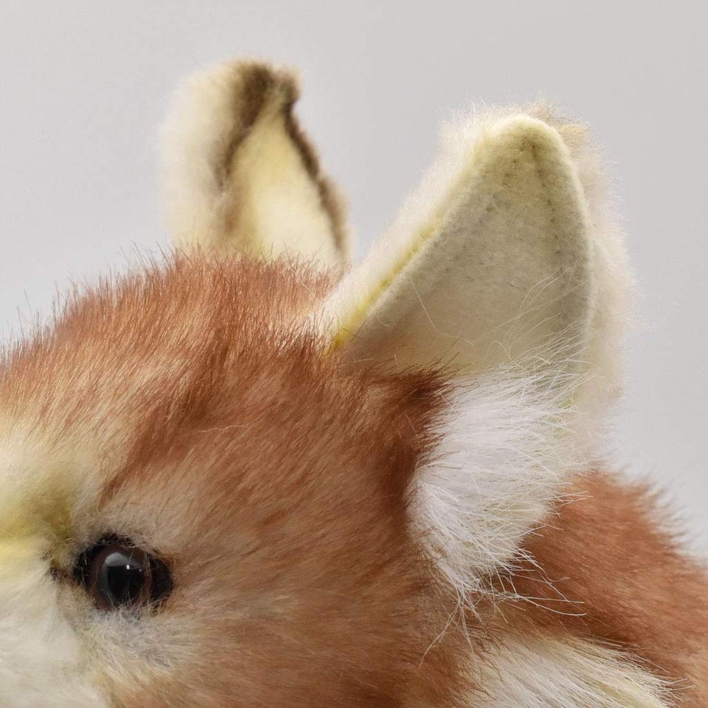 BH5207 HANSA Койот 35