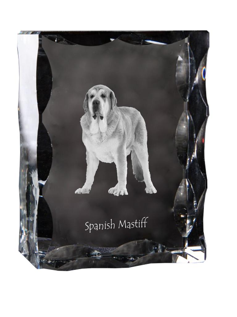 Spanish Mastiff, Mastín Español – Crystal with a picture of a dog, glass statuette with a picture | Art-Dog