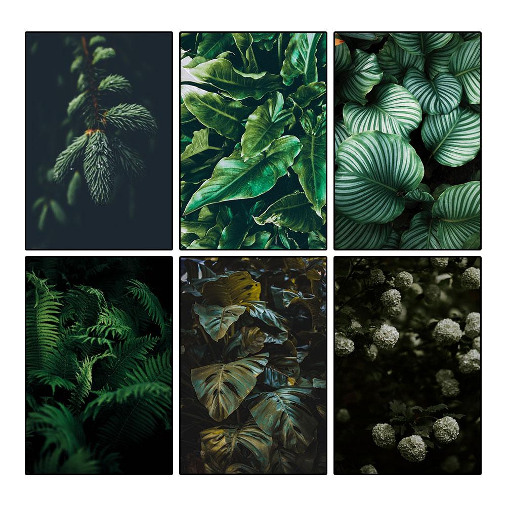 Современная картина на холсте с природой, зеленые листья, картины с растениями, постеры с деревьями, принты для декора гостиной, настенное искусство куадрос